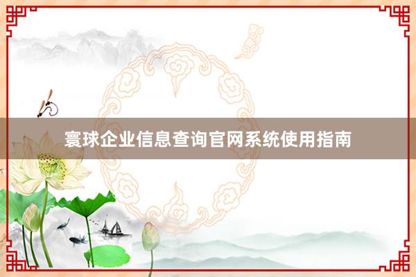寰球企业信息查询官网系统使用指南