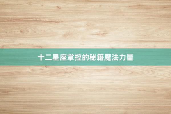 十二星座掌控的秘籍魔法力量