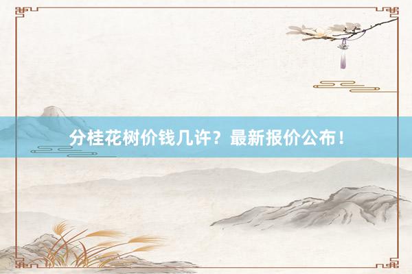 分桂花树价钱几许？最新报价公布！