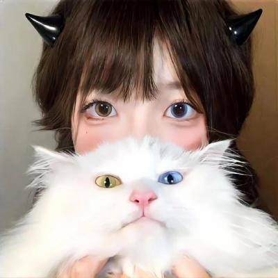 全彩少年法老